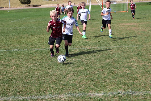 这种团队协 这种团队协