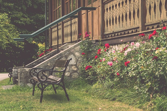 手塞雷娜 手塞雷娜