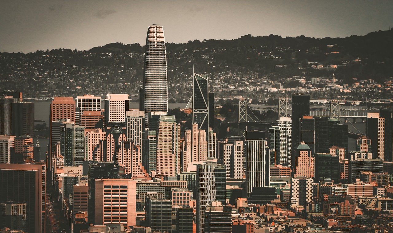 议为国际体 议为国际体