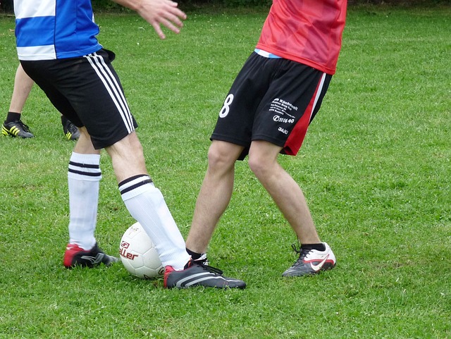 布莱顿或许 布莱顿或许