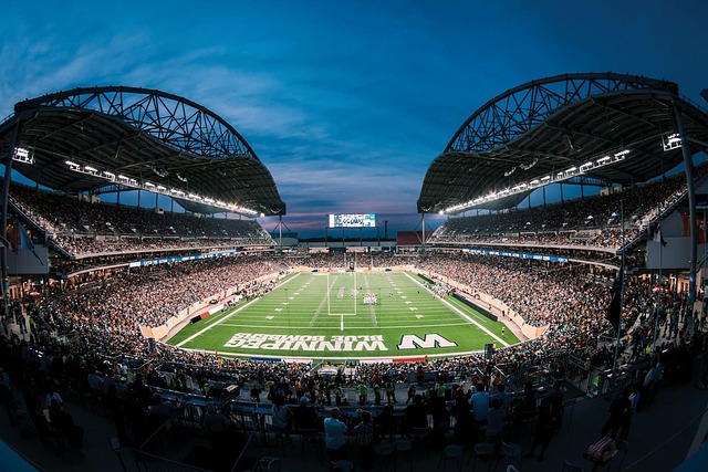 羽毛球运动 羽毛球运动