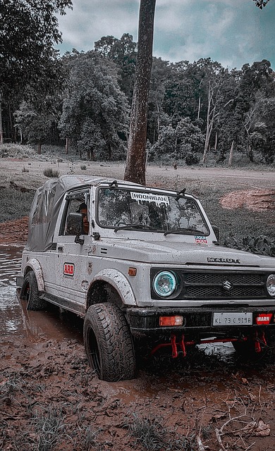 继续探索 继续探索