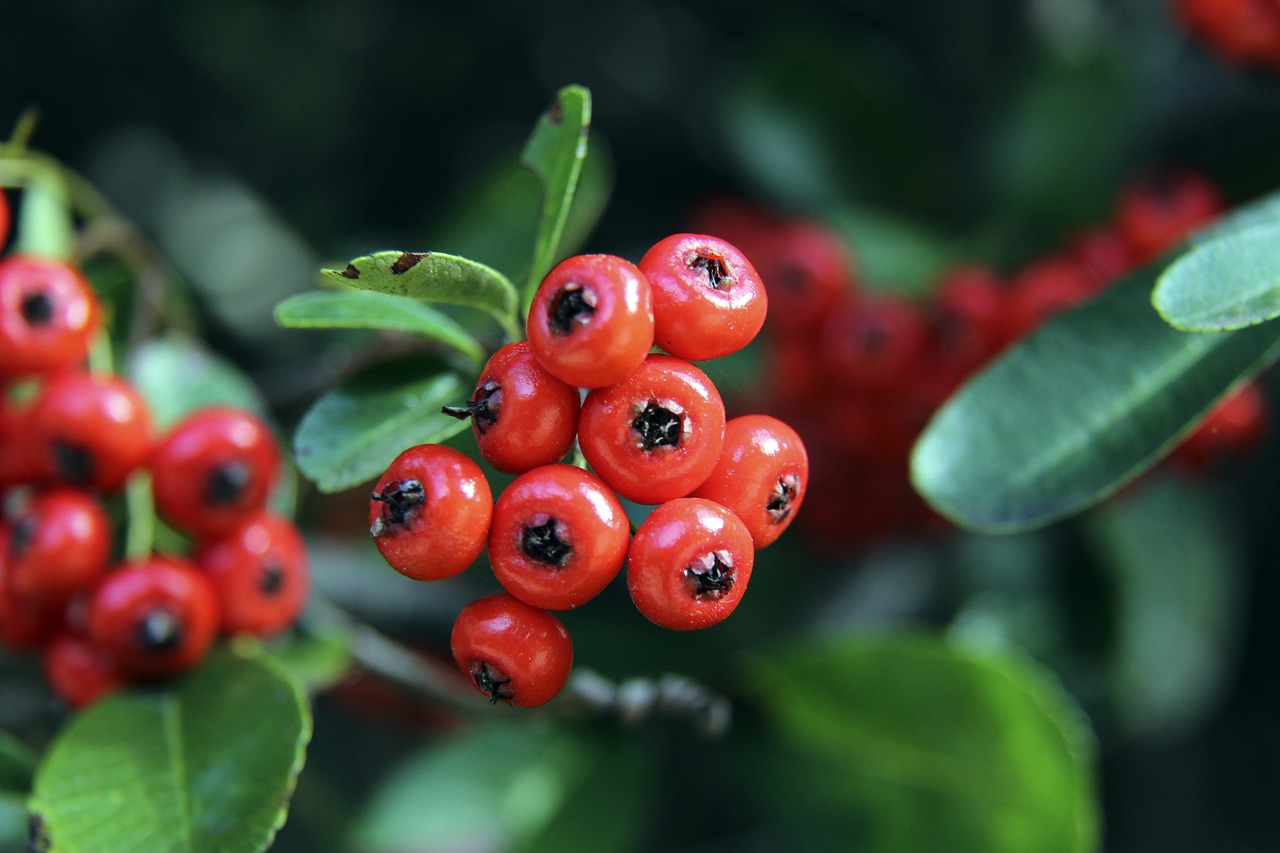 值观的考量 值观的考量