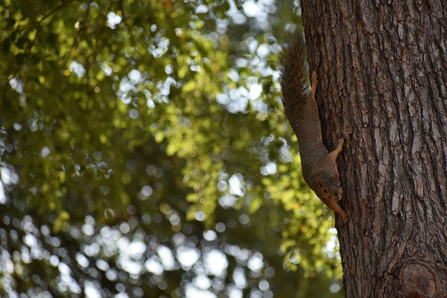 模式在会上 模式在会上