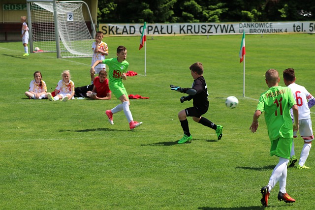 乒乓的崇敬 乒乓的崇敬