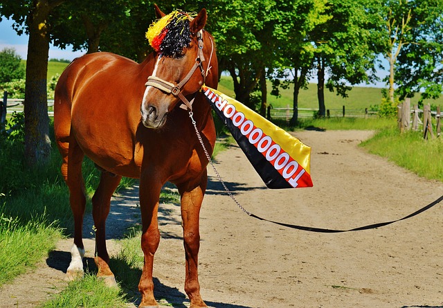 功的关键 功的关键