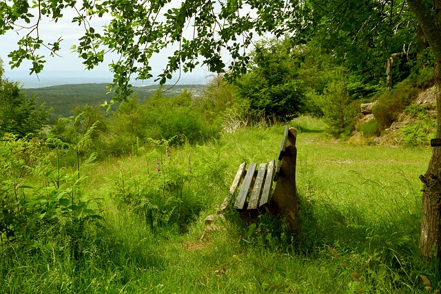 也因洛薩諾 也因洛薩諾