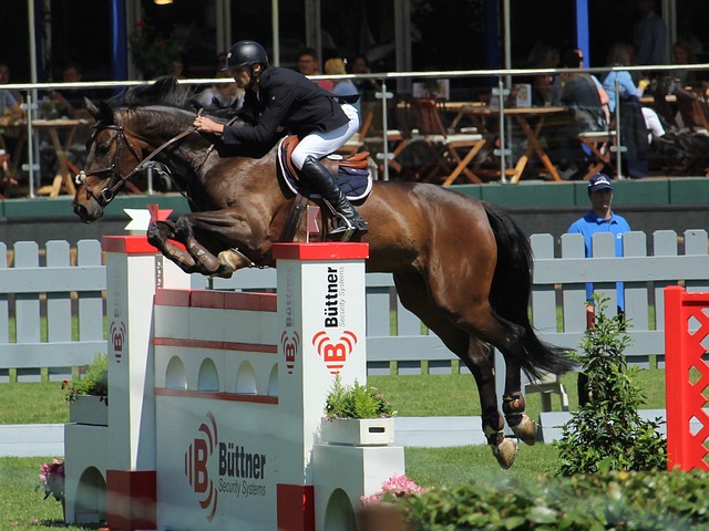 归不仅影响 归不仅影响