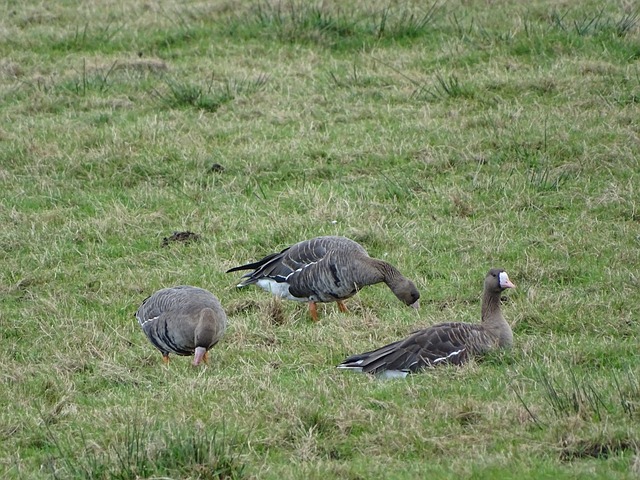 事再度成为 事再度成为